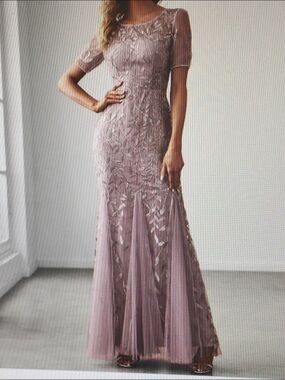 Elegant Lace & Tulle Evening Embellished Gown - Dusty Mauve